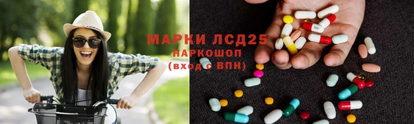 стафф Арсеньев