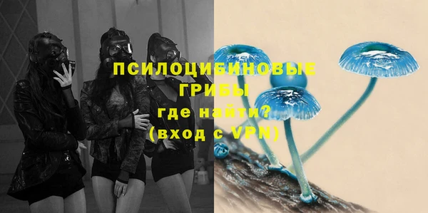стафф Арсеньев
