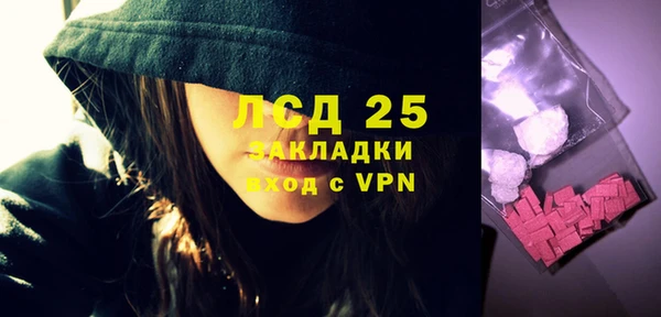 стафф Арсеньев