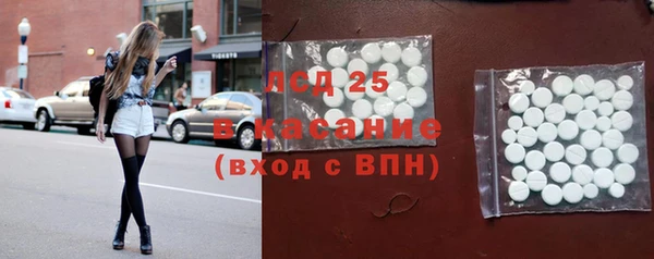 индика Аркадак