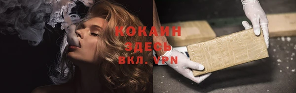 стафф Арсеньев