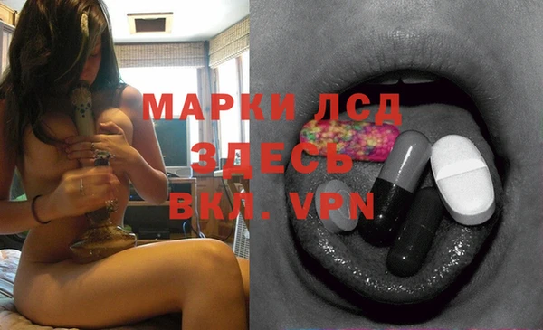 стафф Арсеньев