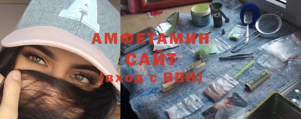 индика Аркадак