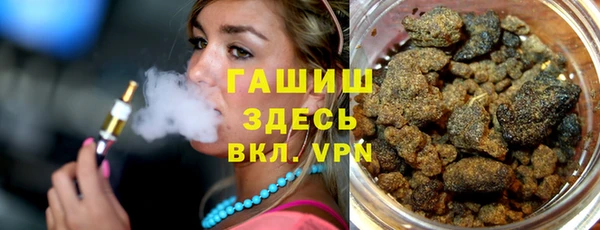 индика Аркадак