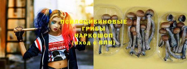 ALPHA PVP Армянск